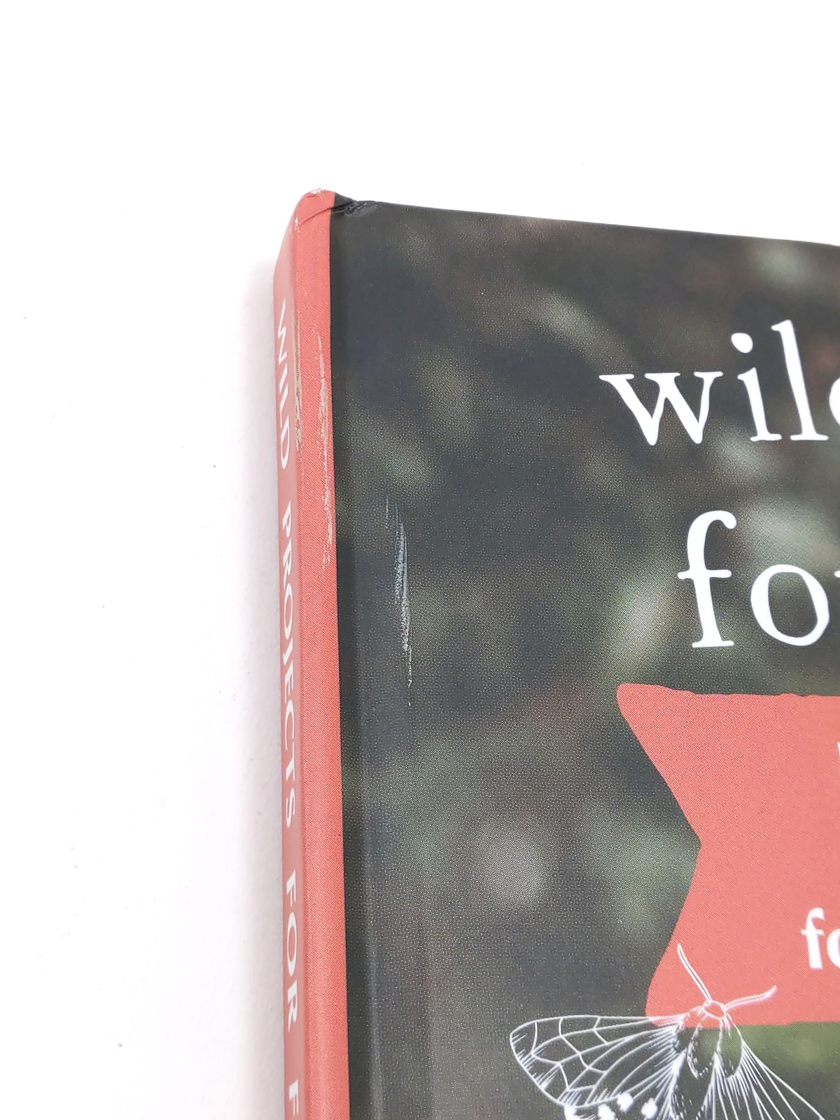 Wild Projects for Families (Nature Craft Series Book 4) by Brooke Davis