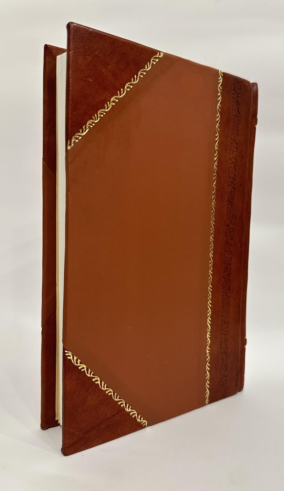 Officialis Curiae Ecclesiasticae … by Augustinus Mathaeucci [Leather Bound]