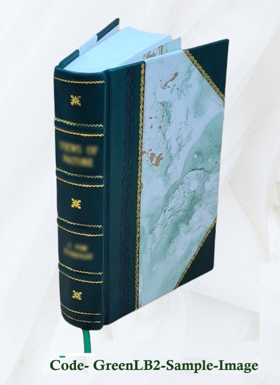 Leechdoms, Wortcunning, And Starcraft Of V. 1-3 1864-1866 Leatherbound Set Of 3