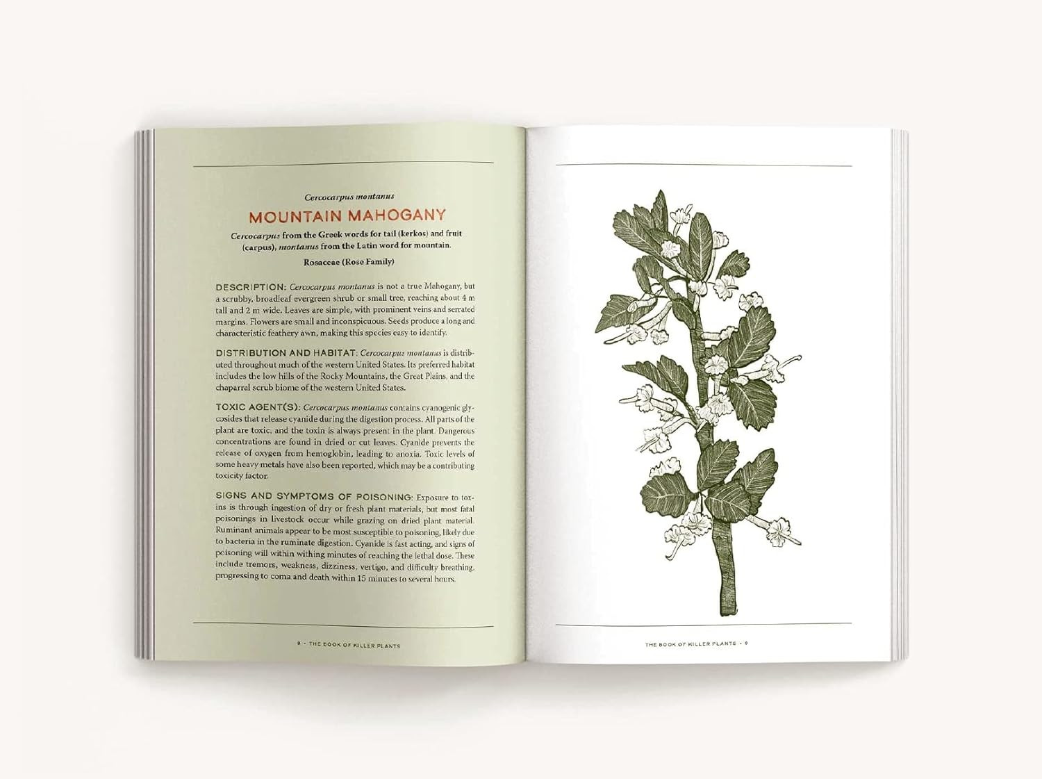 The Book of Killer Plants: A Field Guide to Nature’s Deadliest Creations