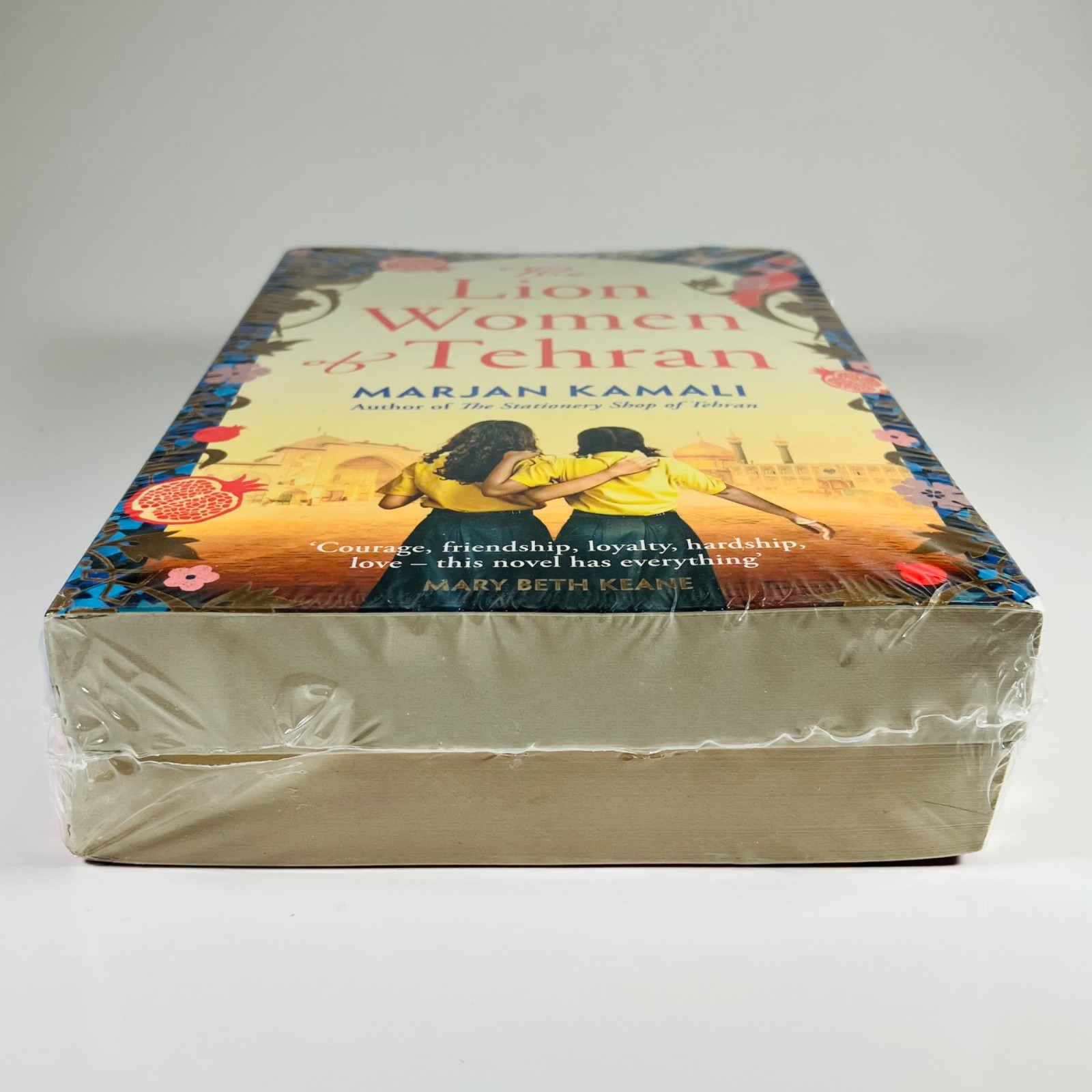 Marjan Kamali 2 Books Collection SET The Lion Women of Tehran & The Stationery