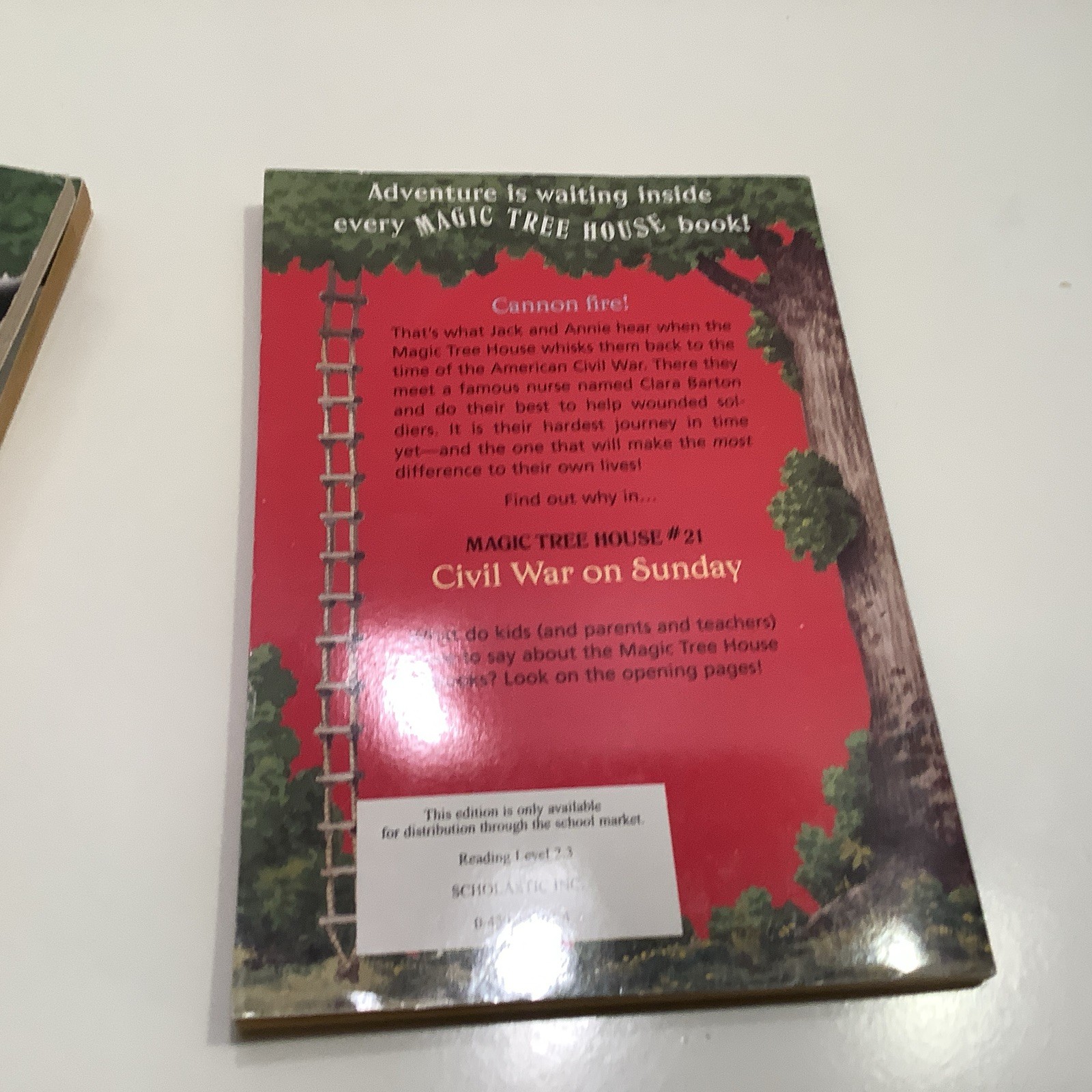 Magic Tree House box set 1-4 + various books 8, 13, 20, 21