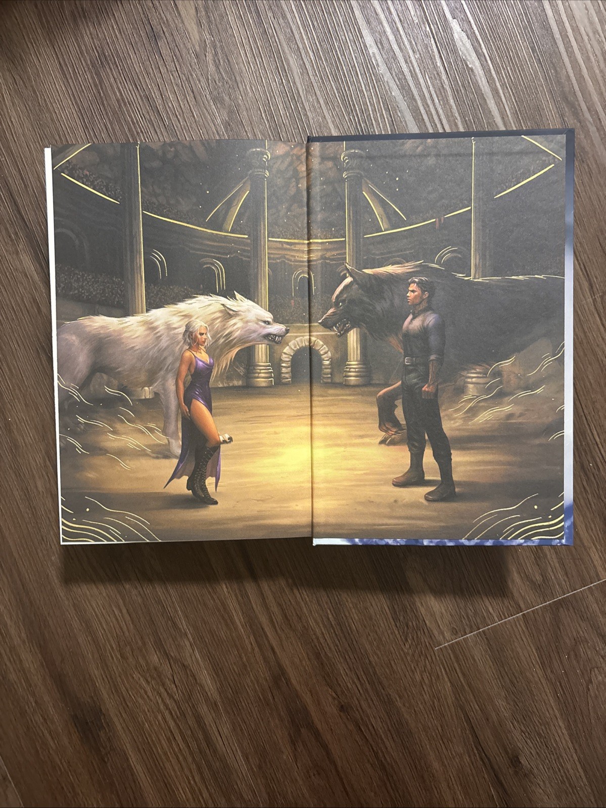 Dire Bound By Sable Sorensen – Signed Fairyloot Edition