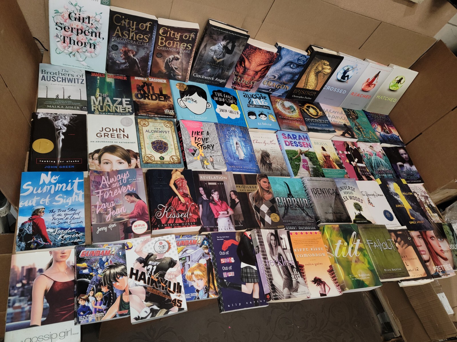 Lot of 10 Young Adults YA PRE-Teen Youth RANDOM STORY CHAPTER UNSORTED BOOKS MIX