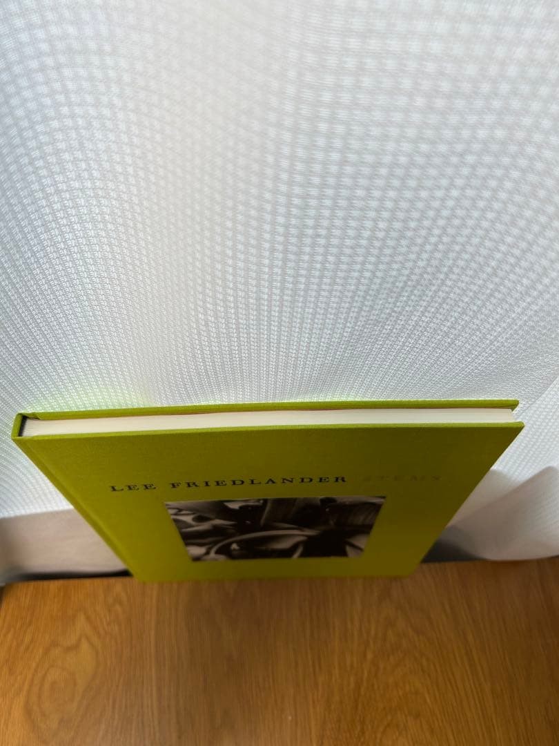 Lee Friedlander Stems Photo Book 2003 Hardcover 96pp 10.6×10.2in