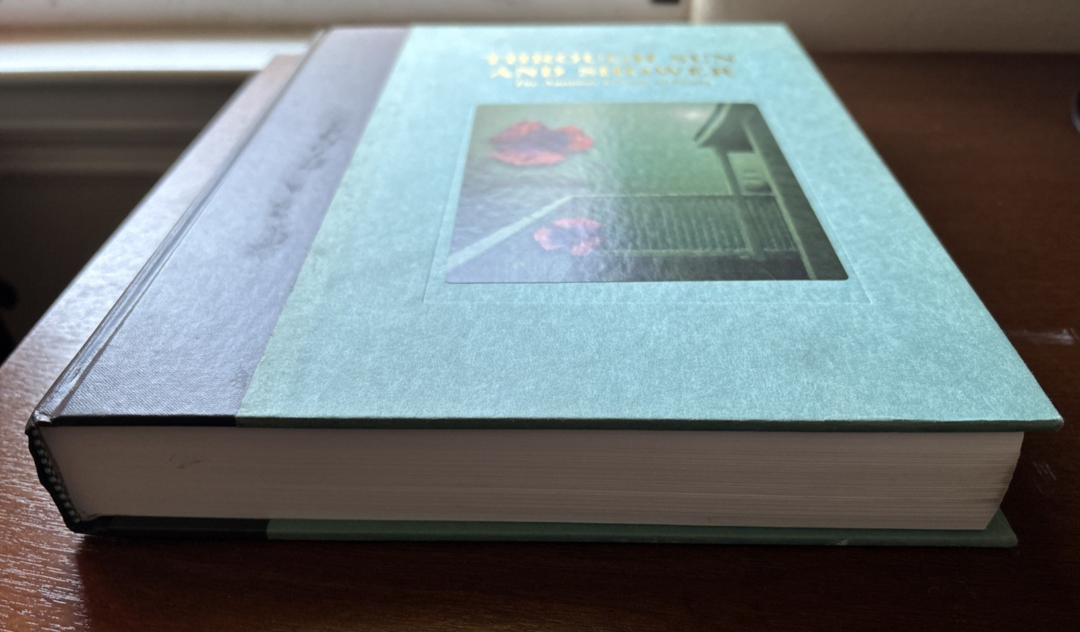 Through Sun and Shower 1997 The National Library of Poetry Chris Tyler, Editor