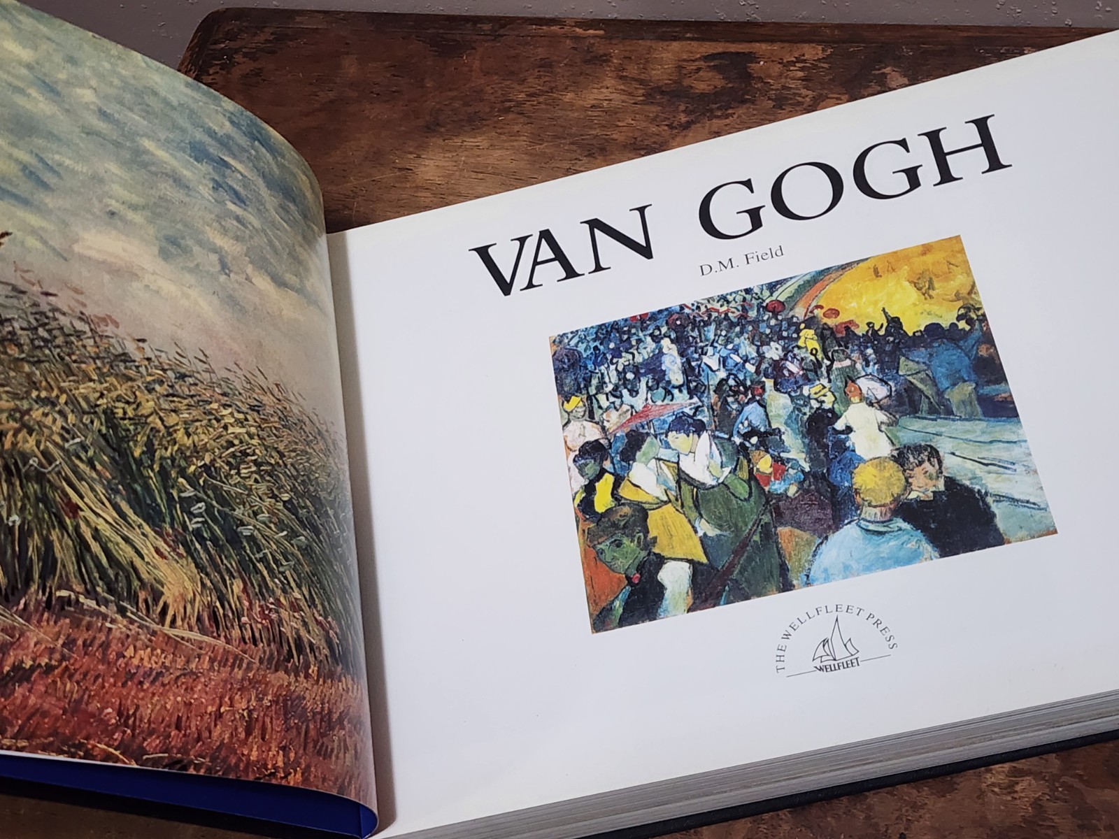 Van Gogh DM FIELD (Hardcover)