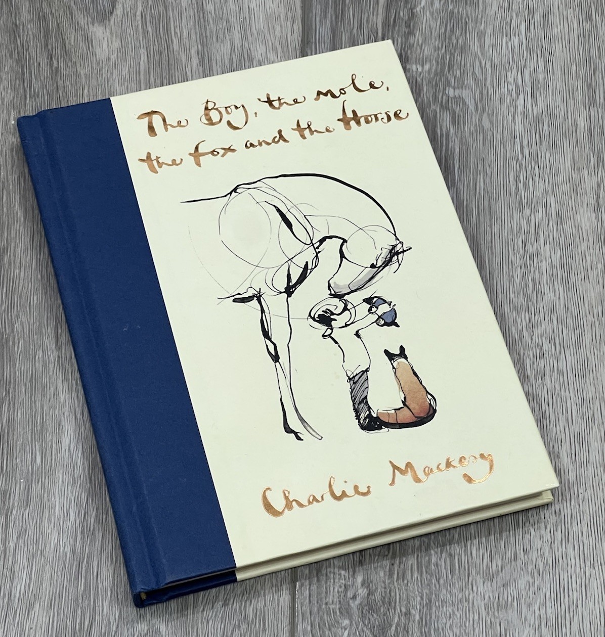 The Boy, The Mole, The Fox and The Horse hardcover Book by MACKESY CHARLIE