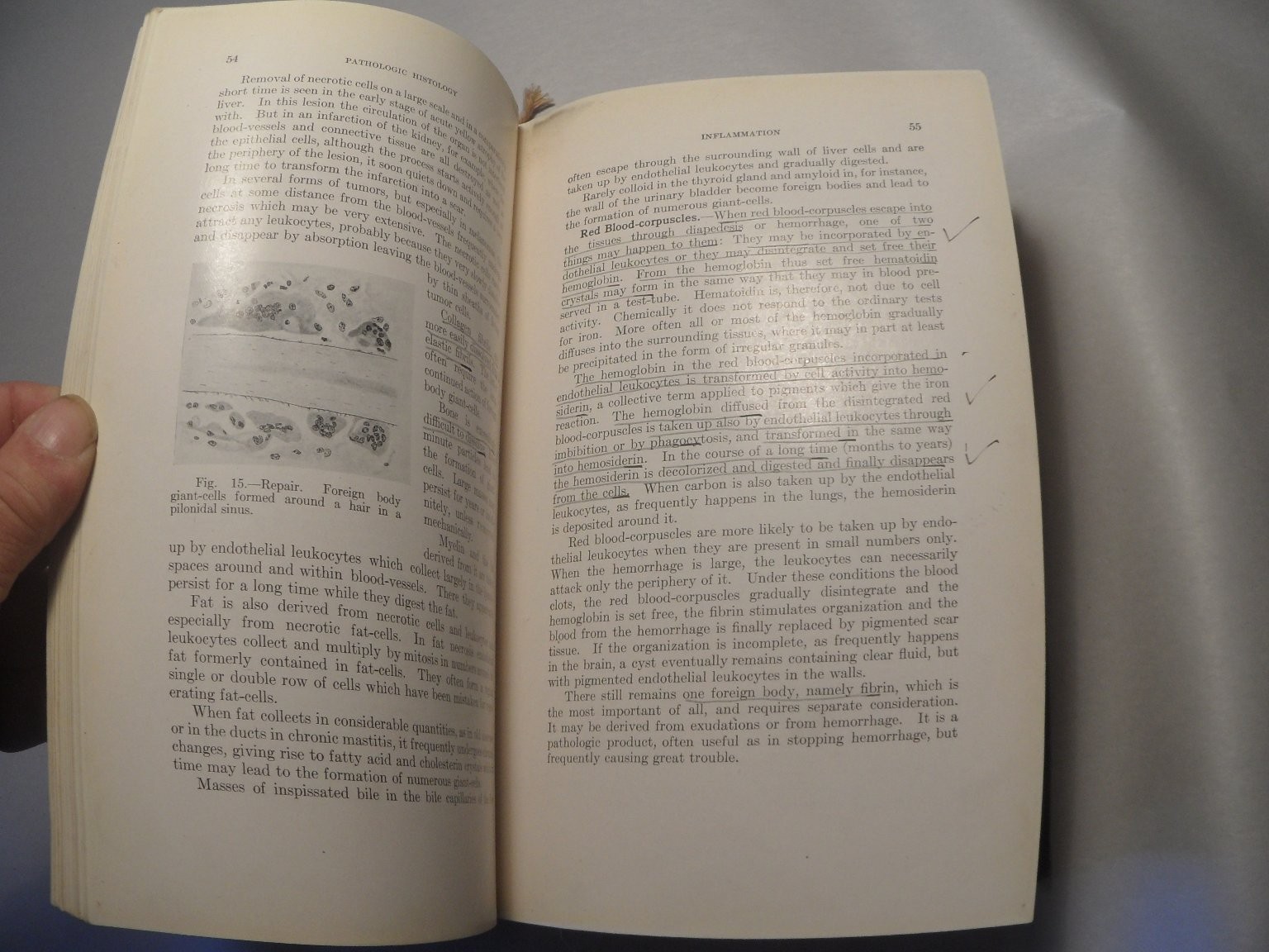 Principles of Pathologic Histology Mallory 1918 Medical Textbook Illustrated