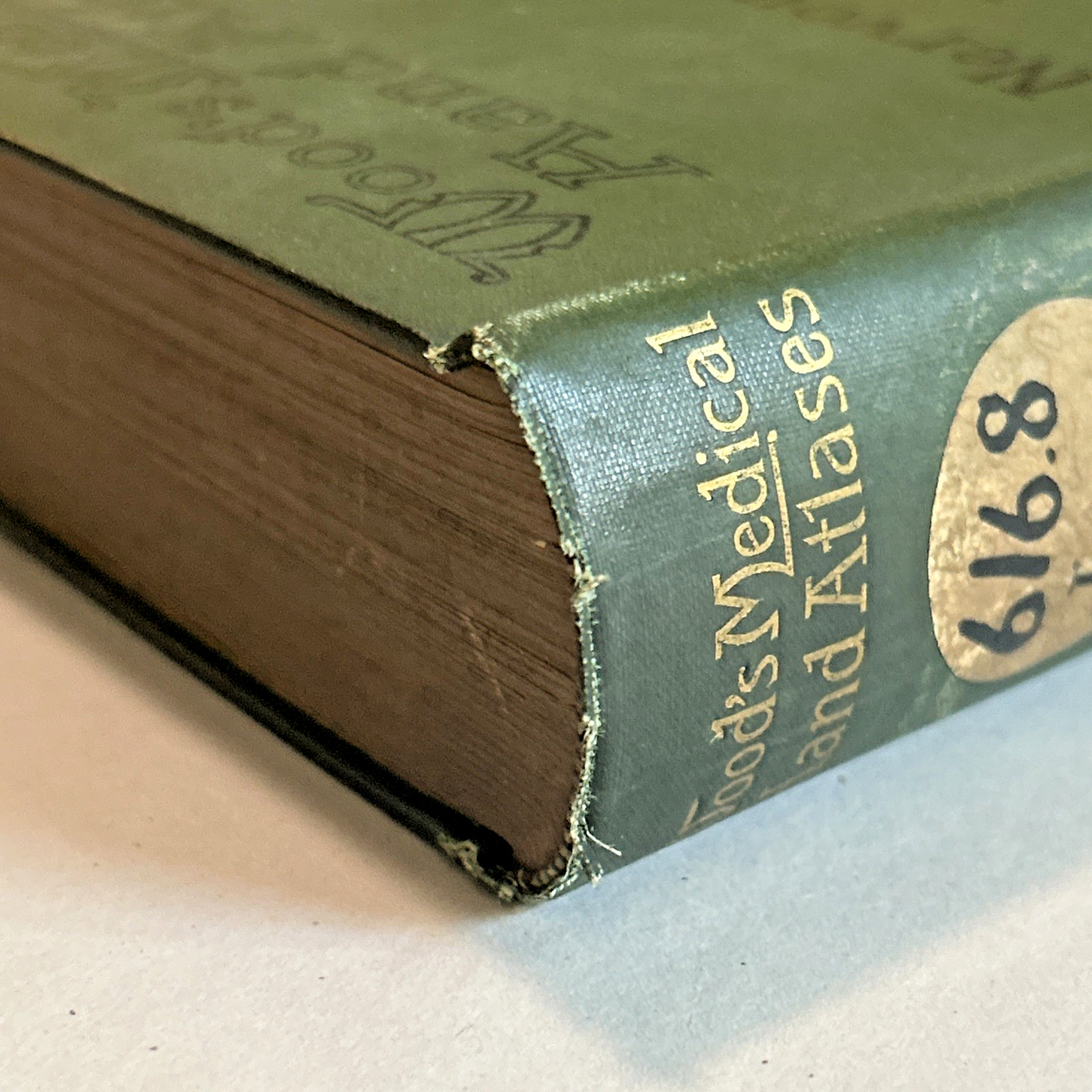 Atlas of Normal and Pathological Nervous Systems ~ 1896 ~ C. Jakob ~ Color Illus