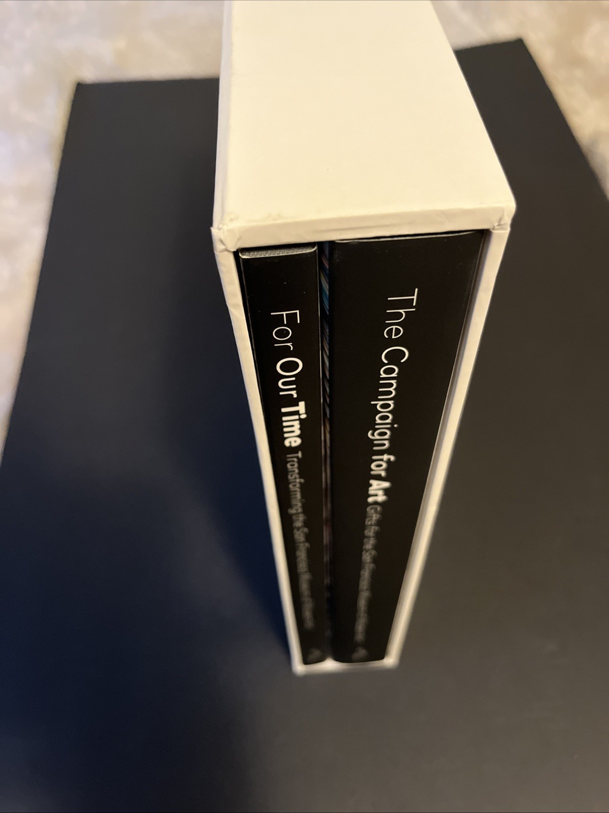 San Francisco MOMA Set Of 2 Books~ For Our Time & Compaign For Art