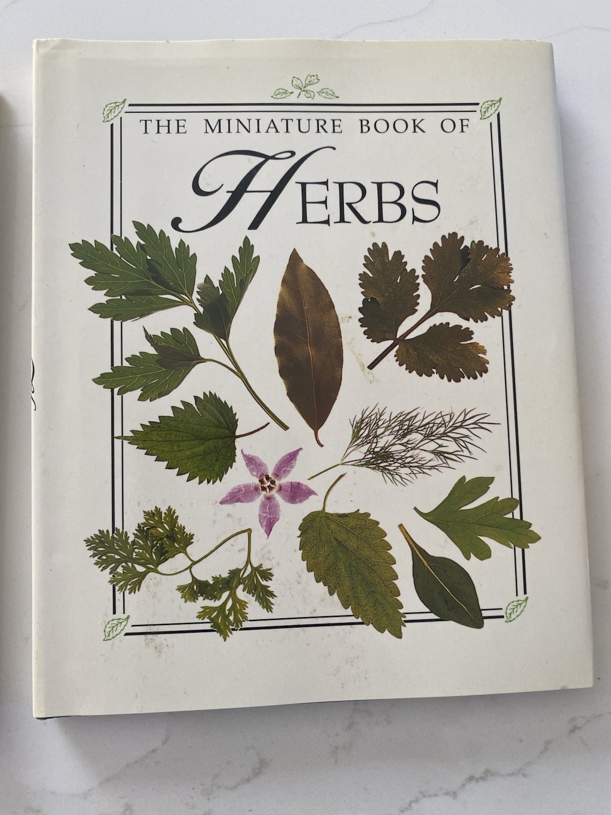 3 Mini books detailed botanical illustrations. titles Berries, Spices, & Herbs.