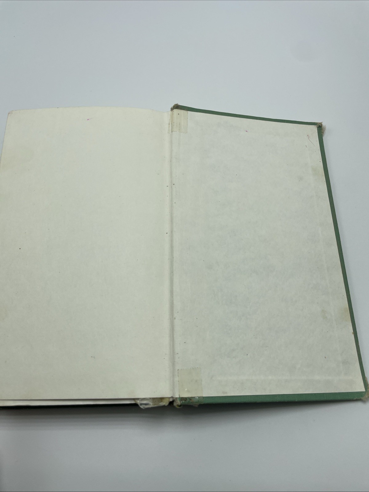 Field Guide to Trees and Shrubs by George A. Petrides (1972, Hardcover)