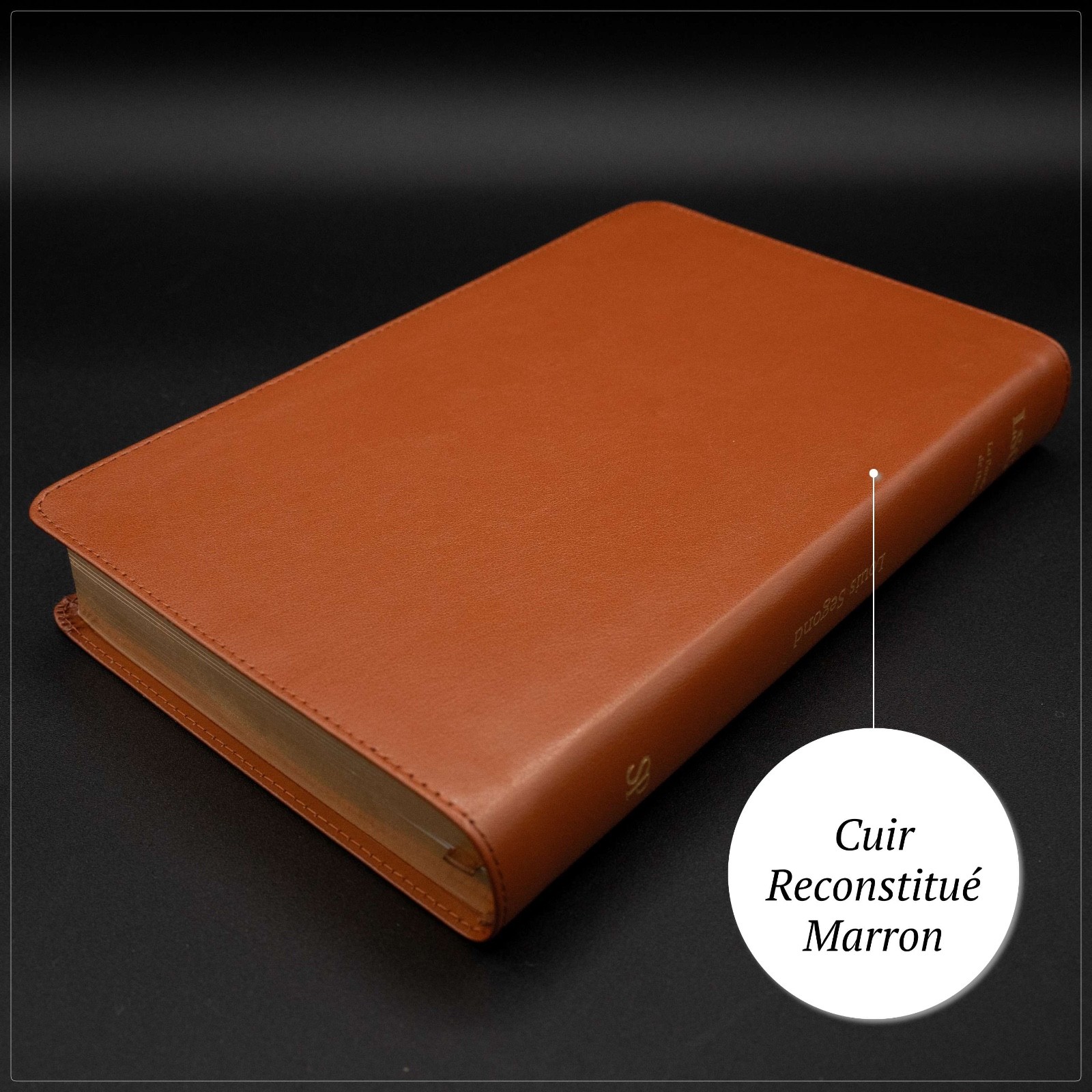 Louis Segond French Bible Medium Print – Compact LSG Bible Marron by SP