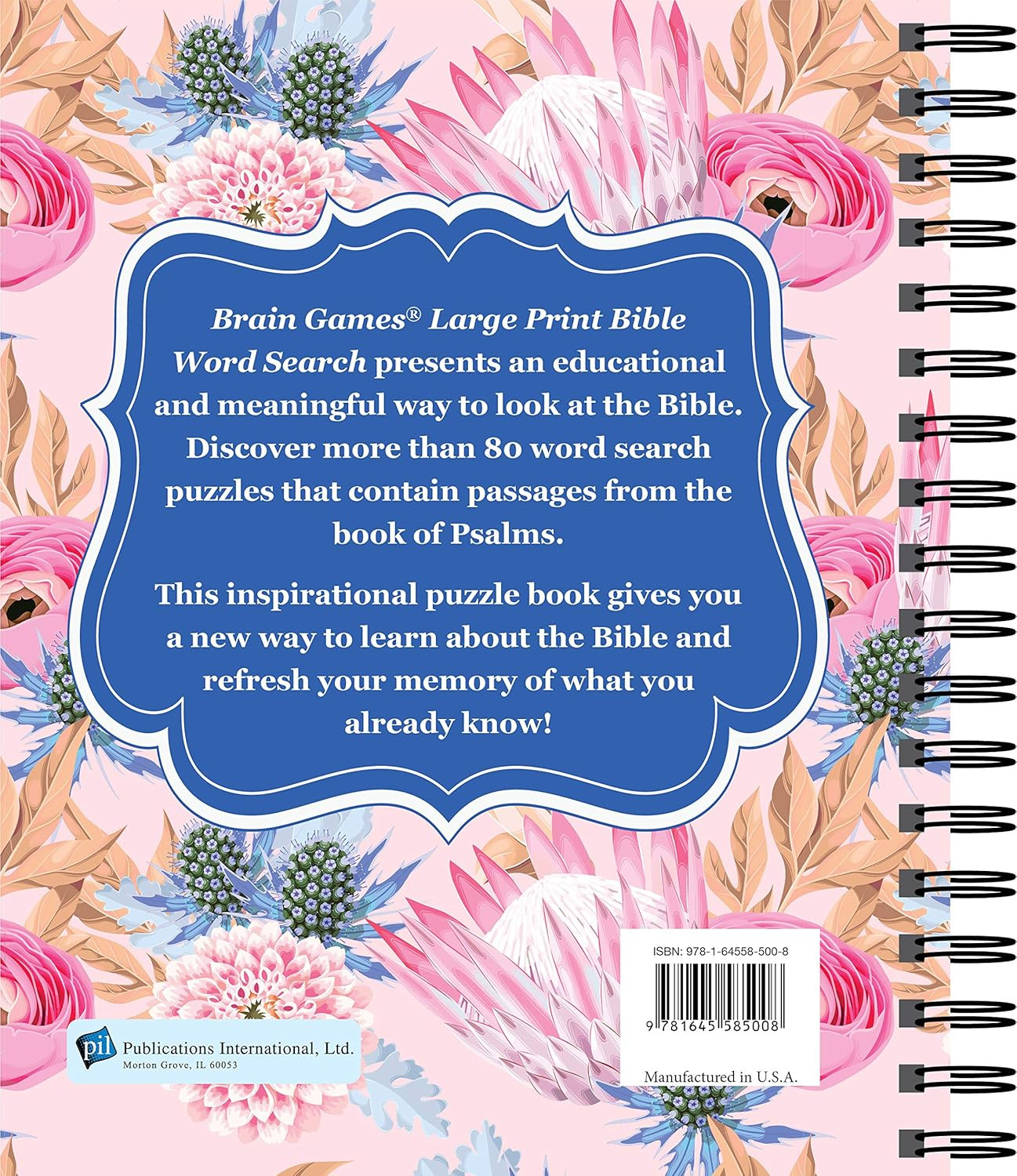 Brain Games – Large Print Bible Word Search: Psalms (Brain Games – Bible)