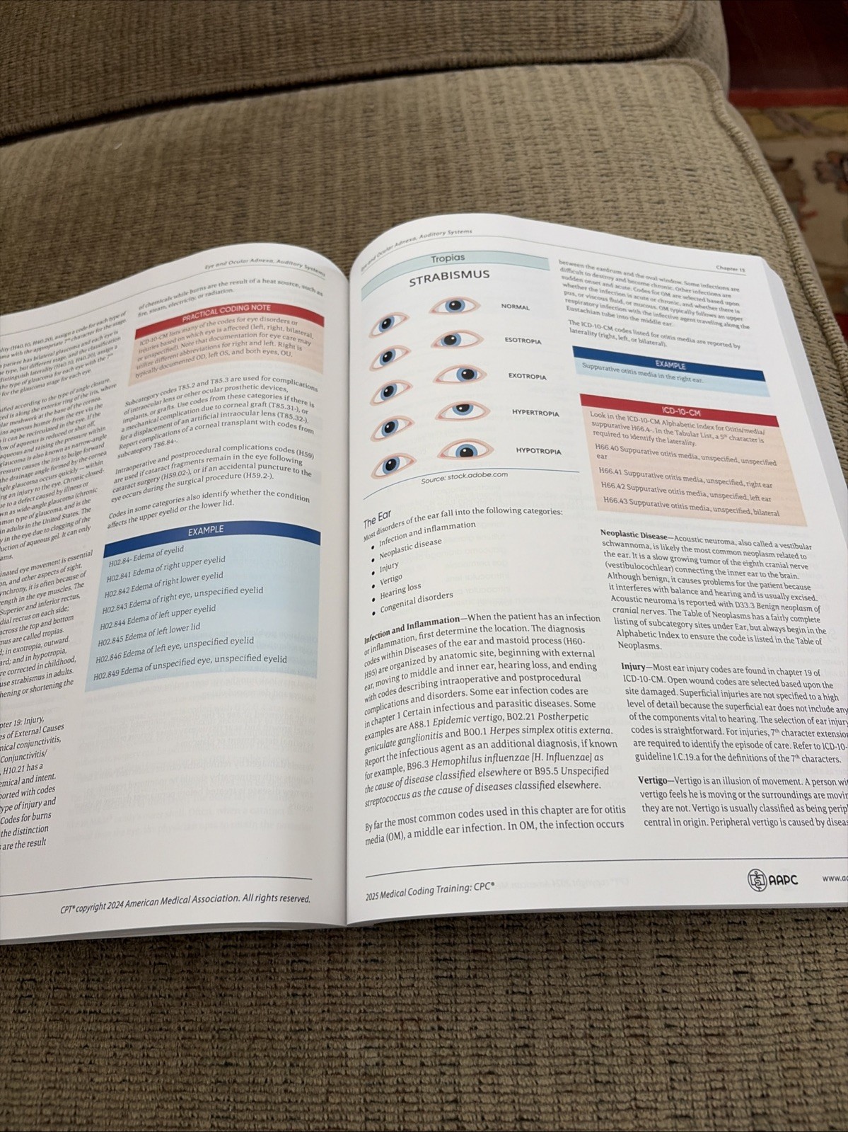 AAPC CPC Certified Professional Coder Training Manual 2025 – Paperback