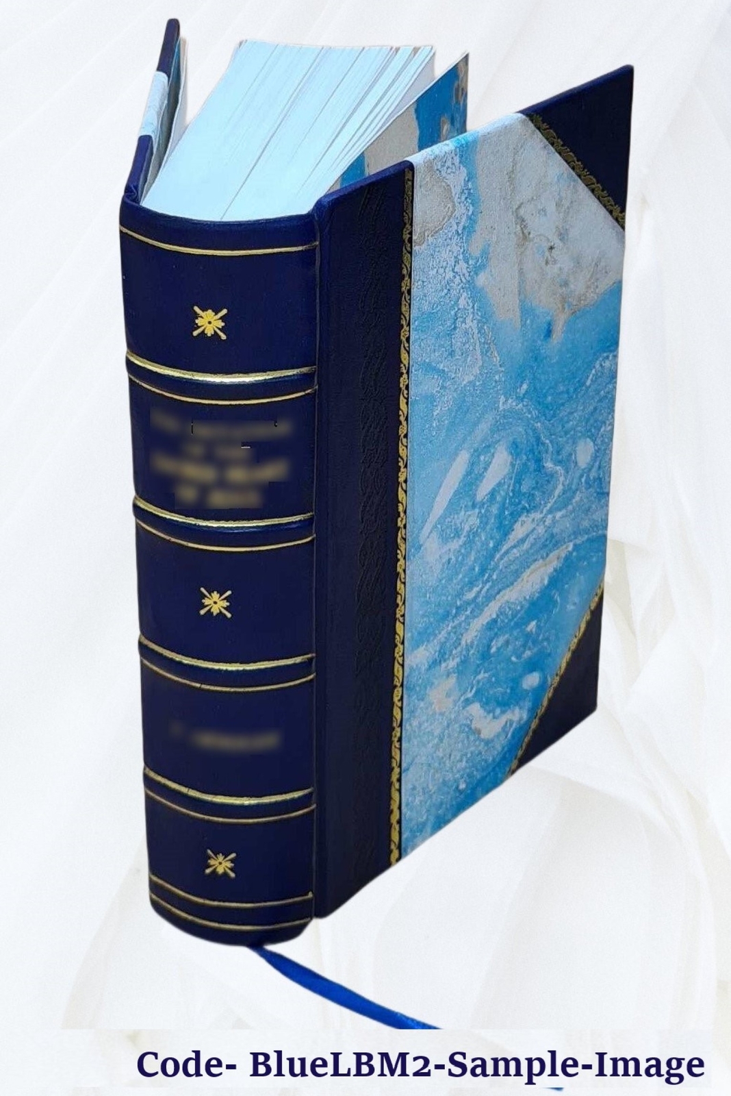 Encyclopaedia Of Superstitions Folklore And The Occult Sciences [Leather Bound]