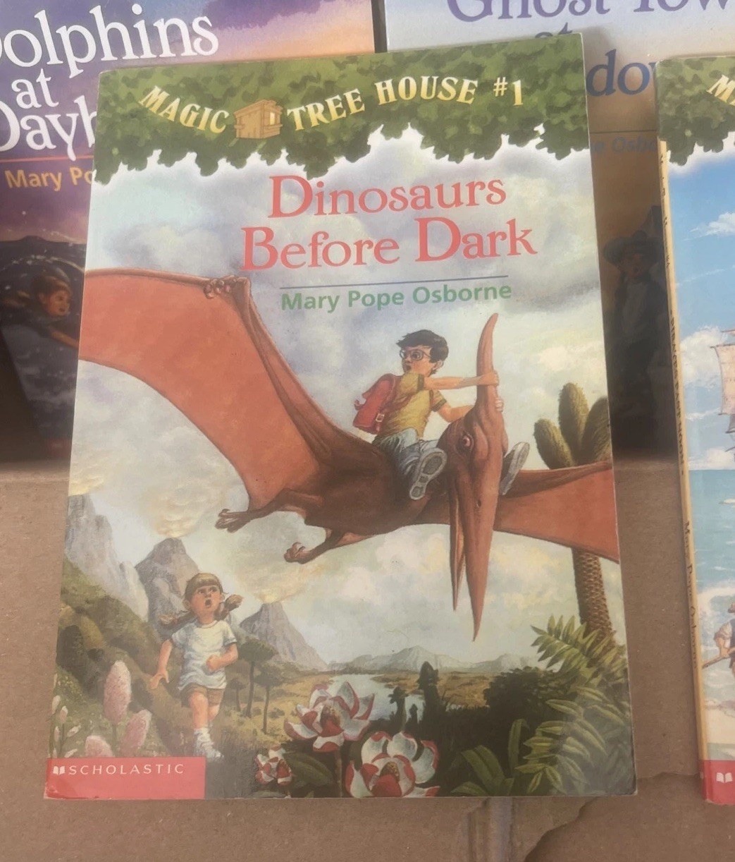 The Magic Treehouse books lot of 17