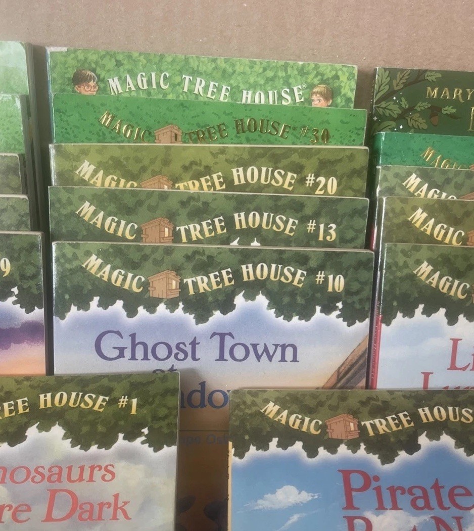 The Magic Treehouse books lot of 17
