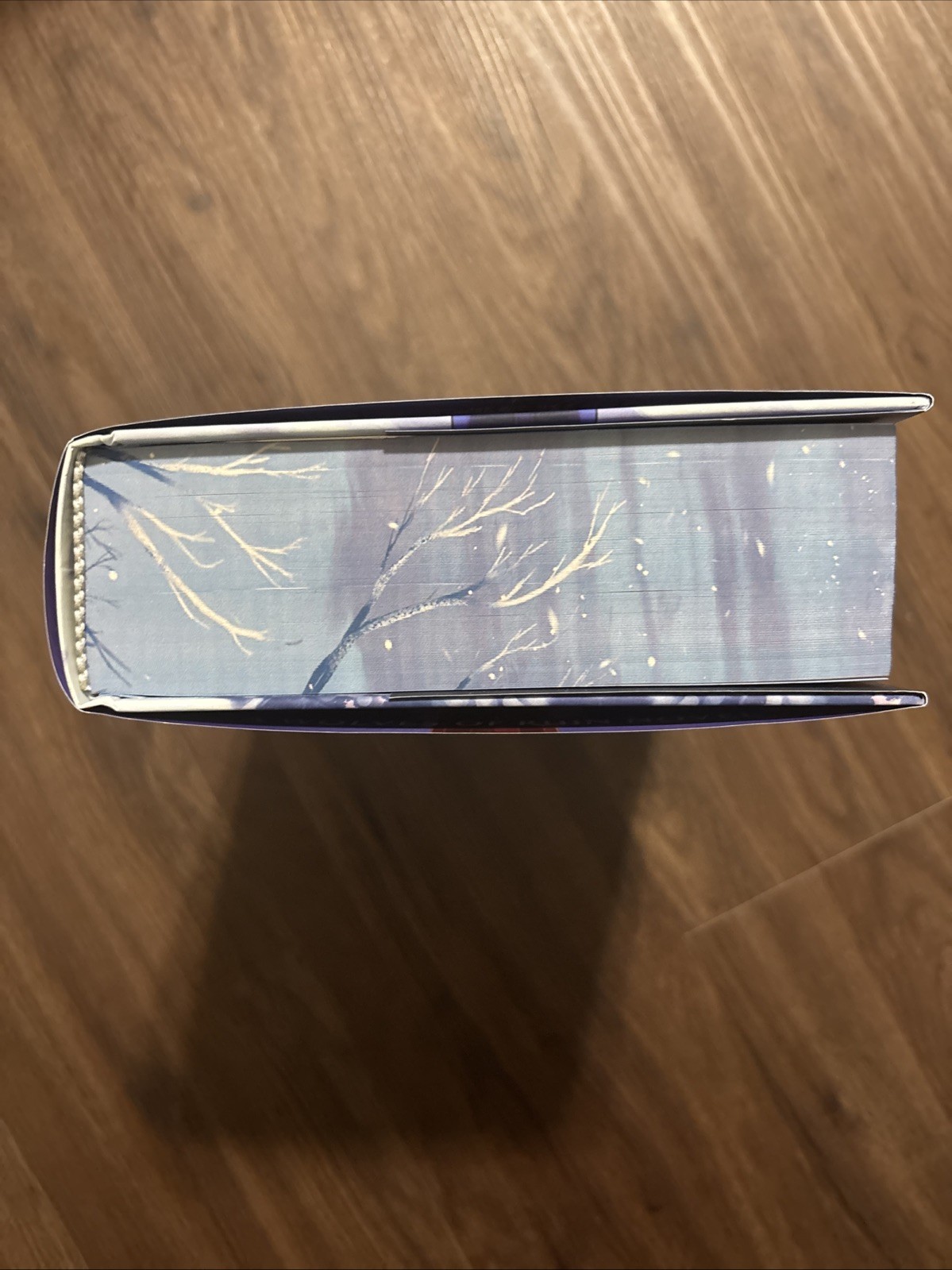Dire Bound By Sable Sorensen – Signed Fairyloot Edition
