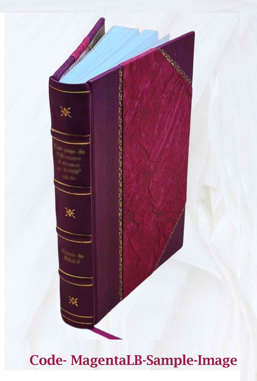 Buddhism Primitive And Present In Magadha And Ceylon 1908 [Leather Bound]