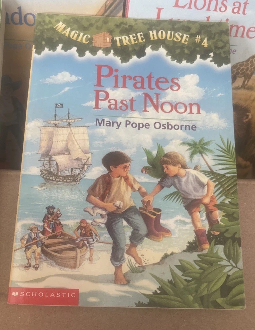 The Magic Treehouse books lot of 17
