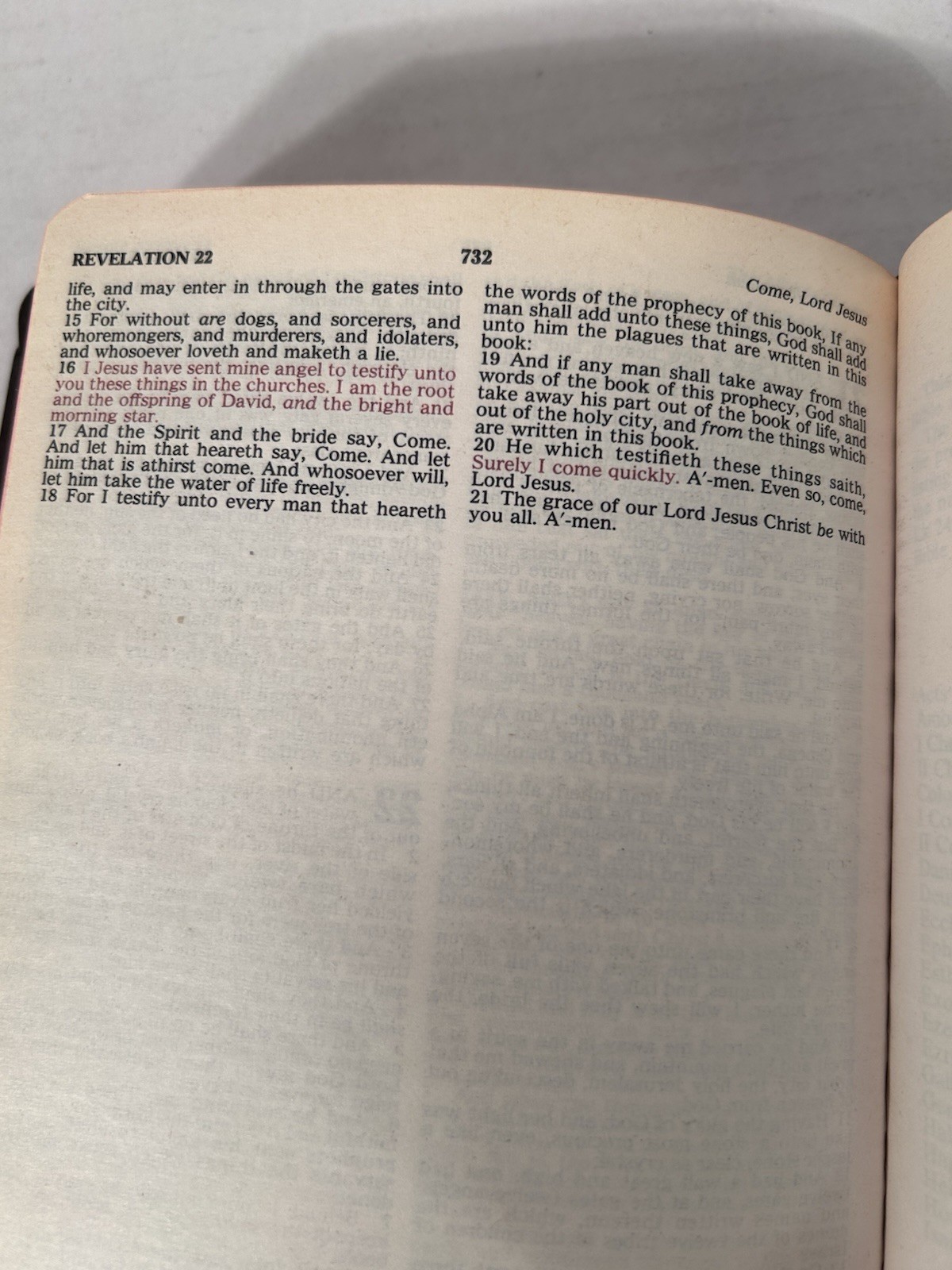 Holy Bible King James Version Regency 162M Red Letter
