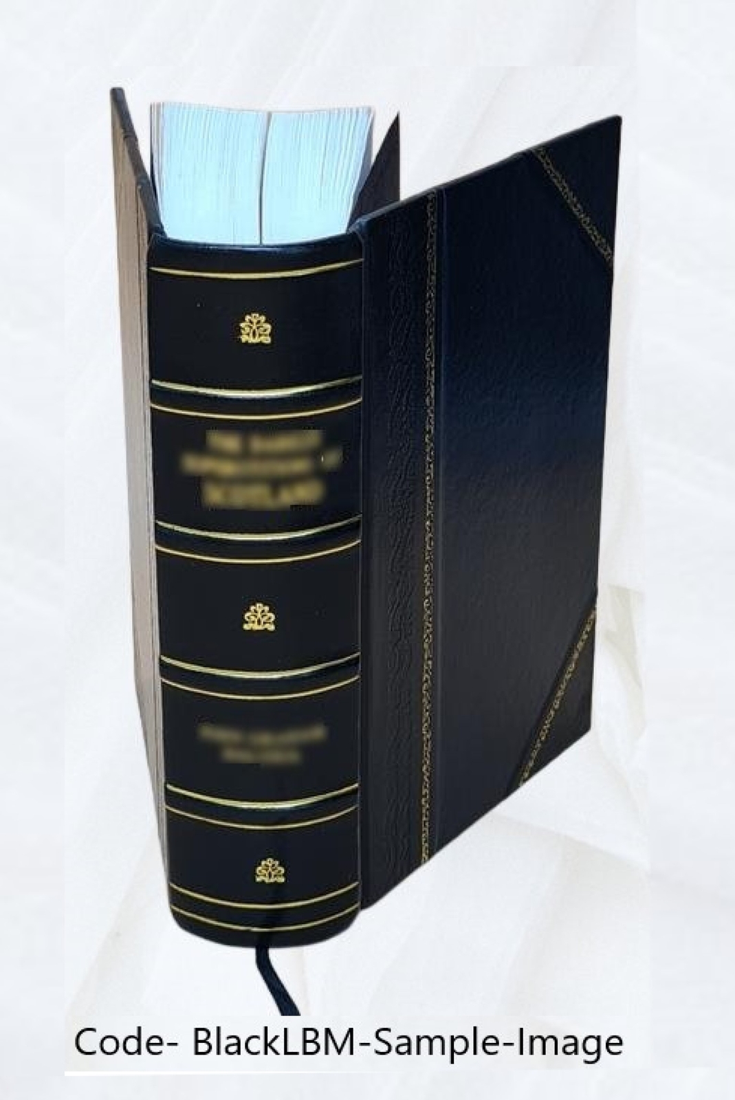 The Industries Of Japan; Together With An Account Of Its Agricul [Leather Bound]