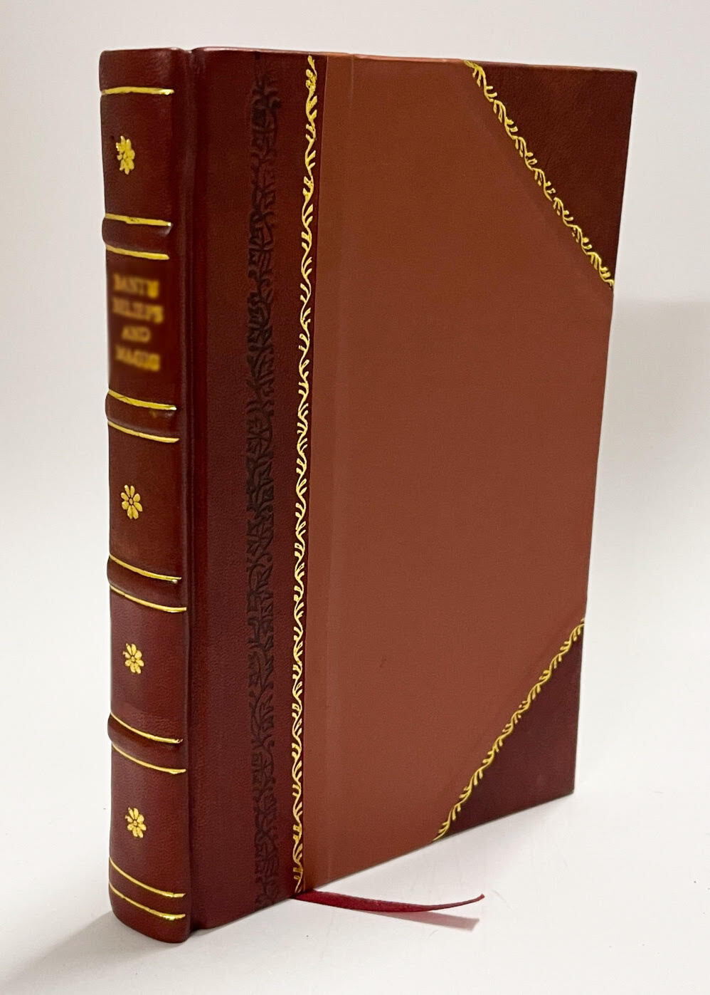 The Geology and Mineral Resources of the Reefton Subdivision : [Leather Bound]
