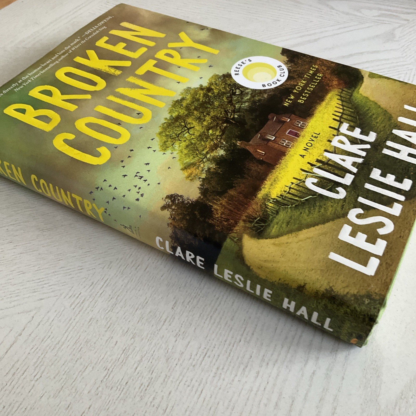 Broken Country by Clare Leslie Hall, Hardcover, Picador, Reese’s Book Club