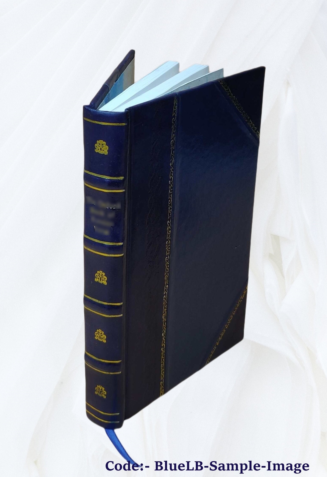 Buddhism Primitive And Present In Magadha And Ceylon 1908 [Leather Bound]