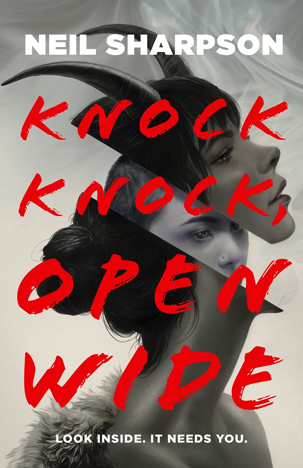 Neil Sharpson Knock Knock, Open Wide (Paperback)