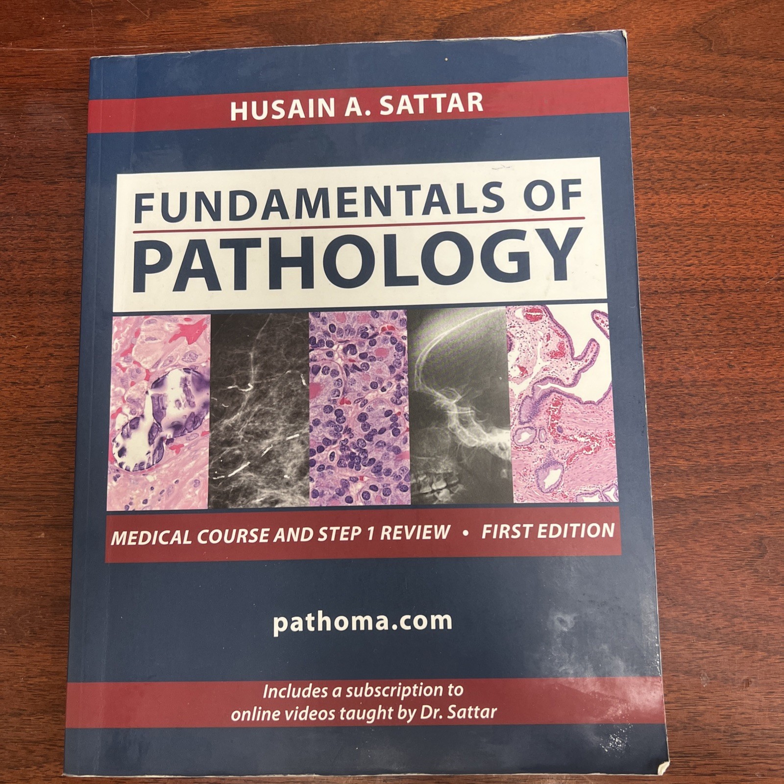 Fundamentals of Pathology by Husain A. Sattar (Trade Paperback)