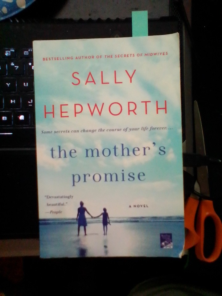 The Mother’s Promise : A Novel Paperback Sally Hepworth GOOD