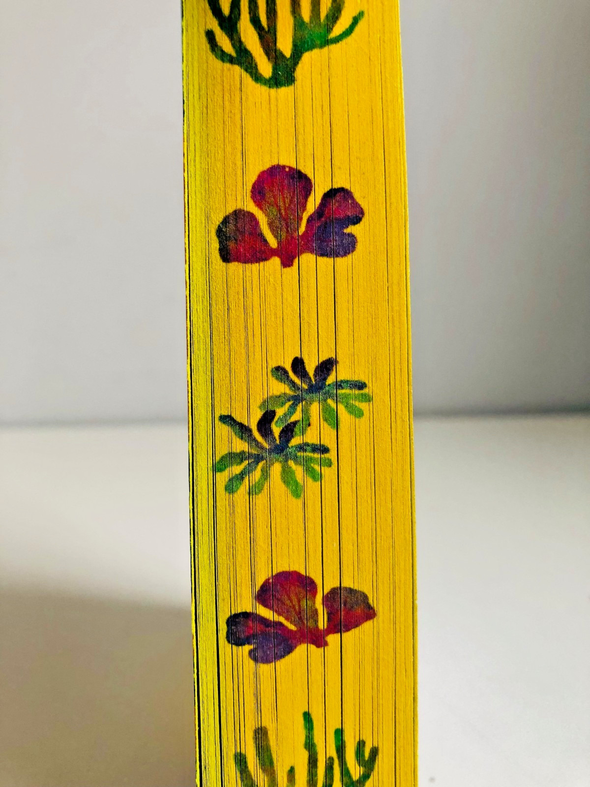SIGNED Remarkably Bright Creatures by Shelby Van Pelt Trade PB ~ STENCILED EDGES