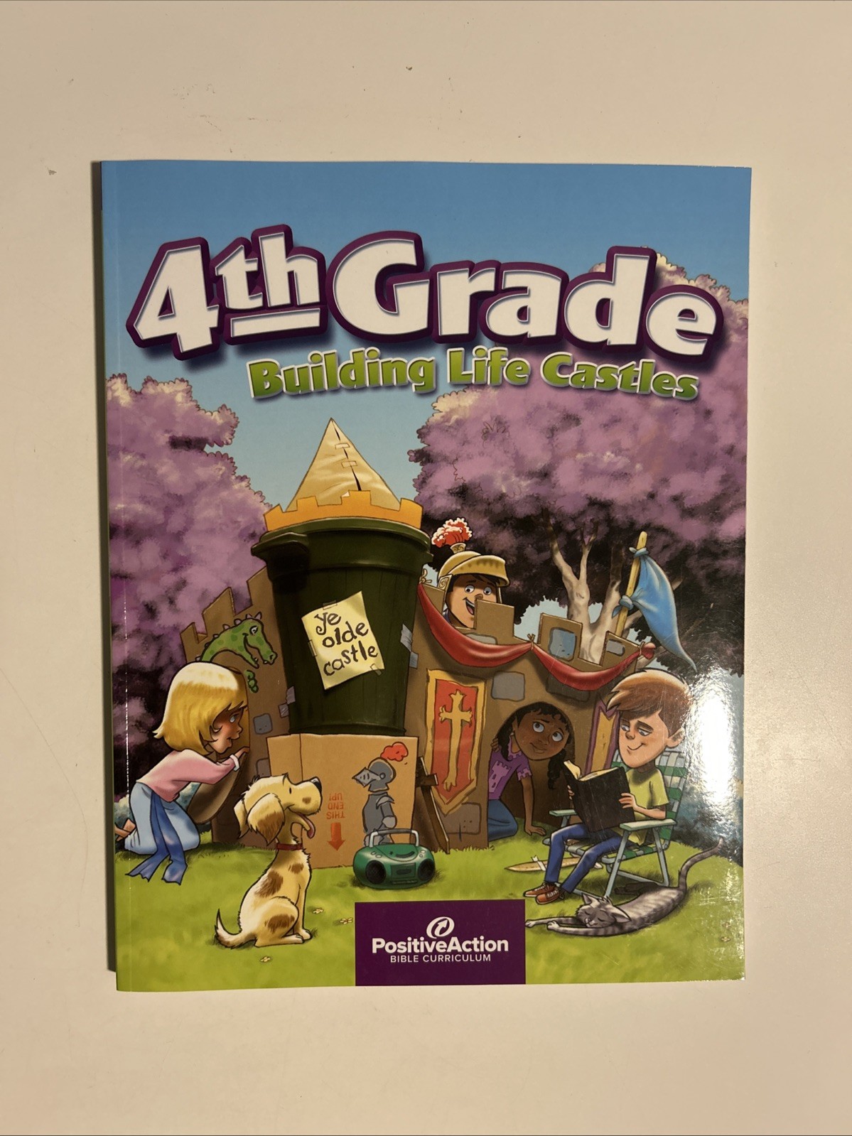 Building Life Castles Student Manual by Cherie Noel