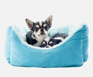 Doges bed blue&white